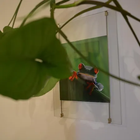 Apartment Wallensteiner *